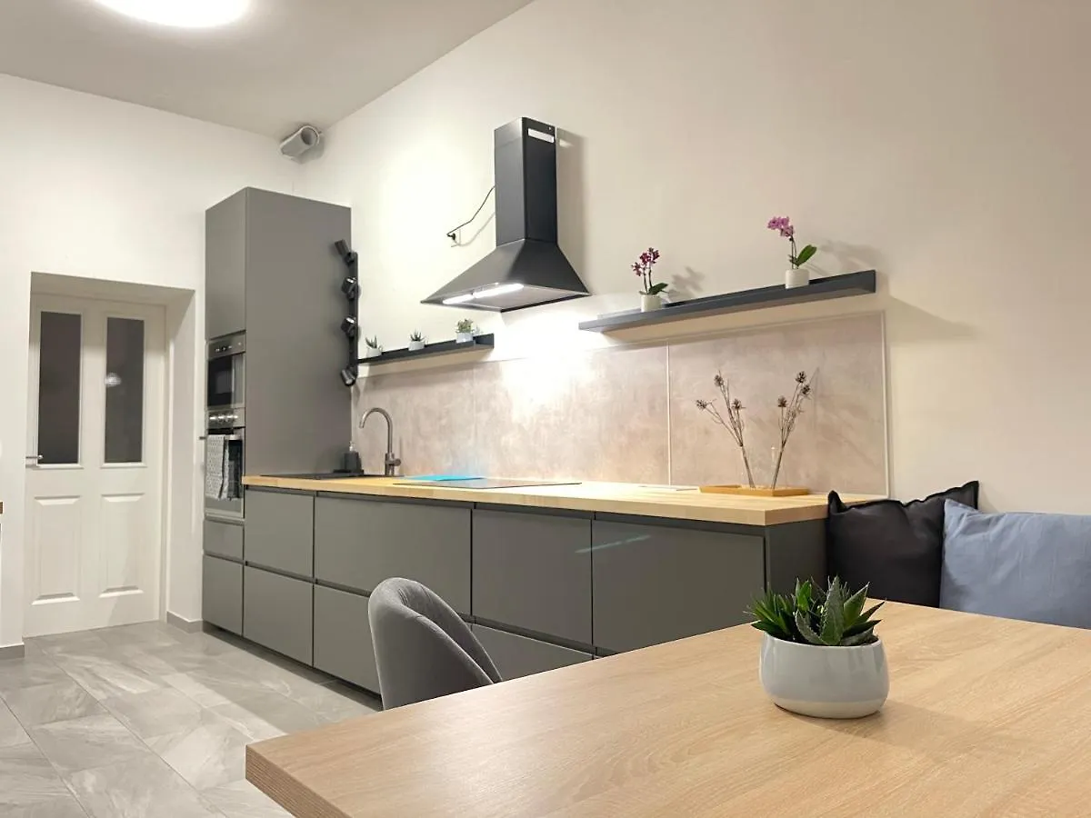 Big Apartment Viena