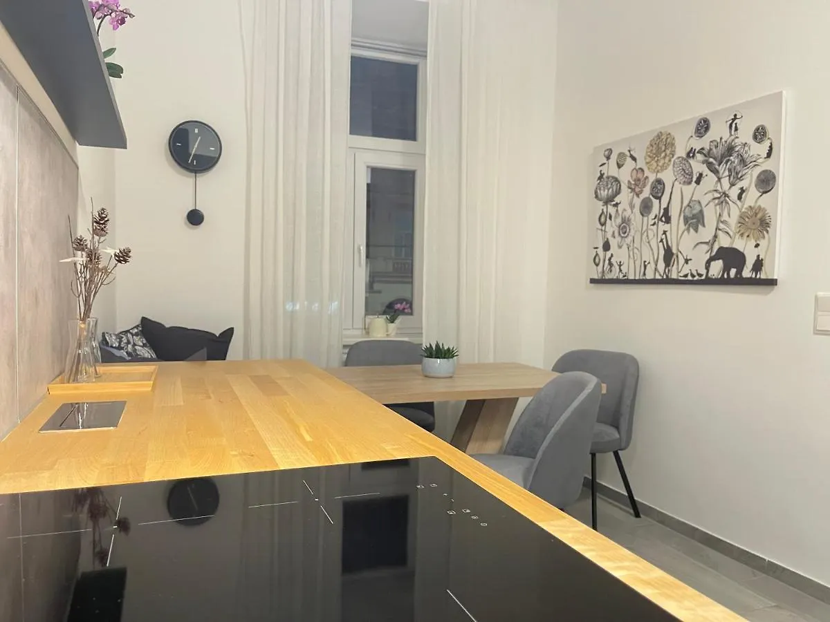 Big Apartment Viena Austria