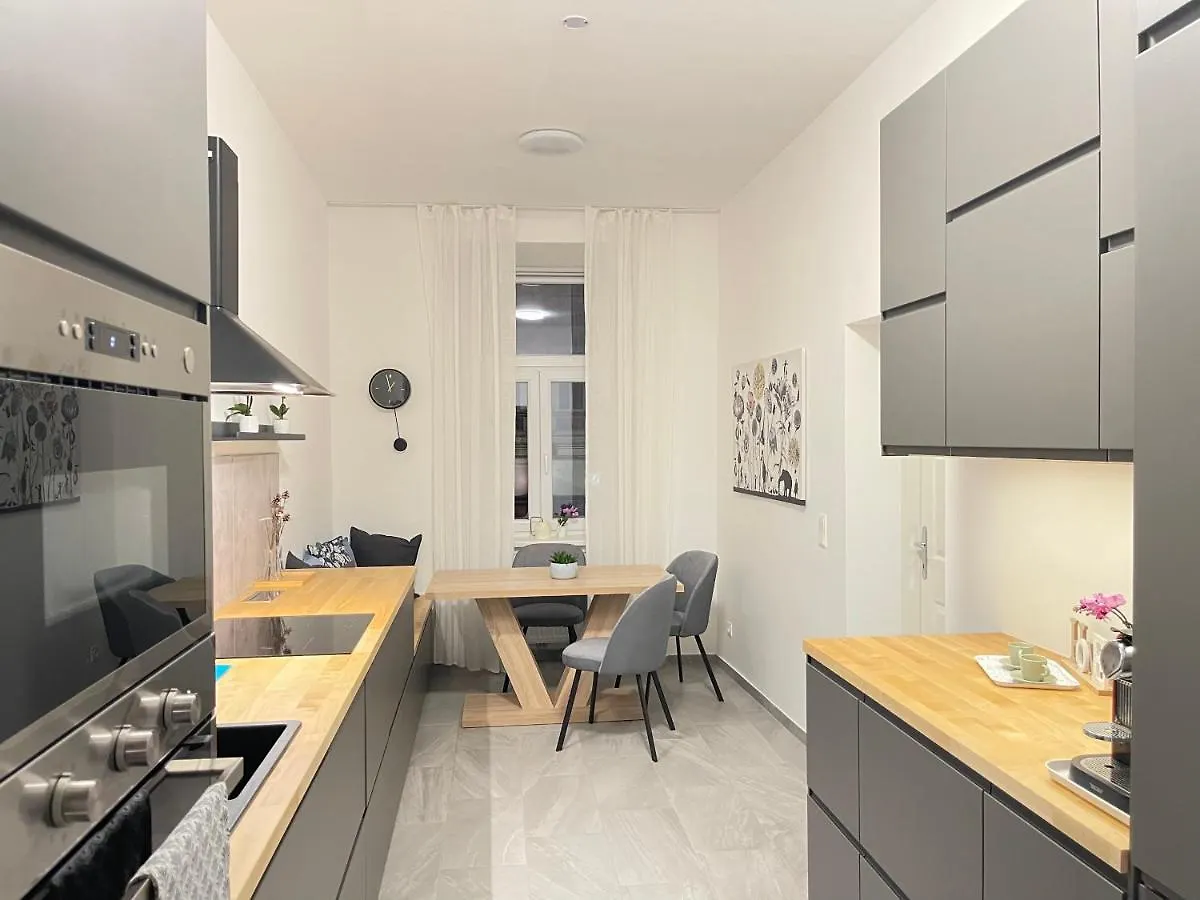 Big Apartment Viena